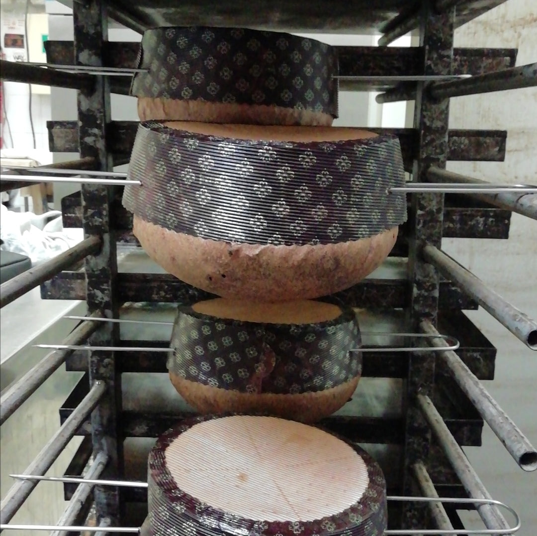 ARTISAN PISTACHIO PANETTONE